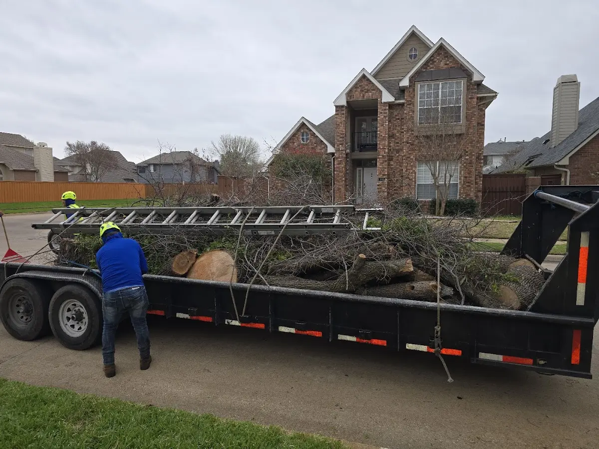 Expert Tree Pest Control with proper safety equipment in Church Hill
